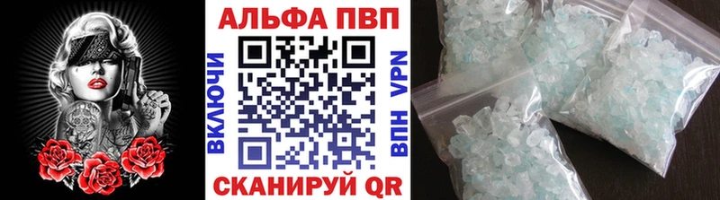 kraken ТОР  Тейково  Альфа ПВП СК КРИС 