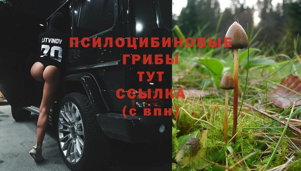 ALPHA PVP Алексин