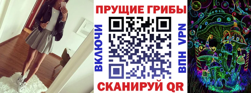 Галлюциногенные грибы Psilocybe  mega как зайти  Тейково 