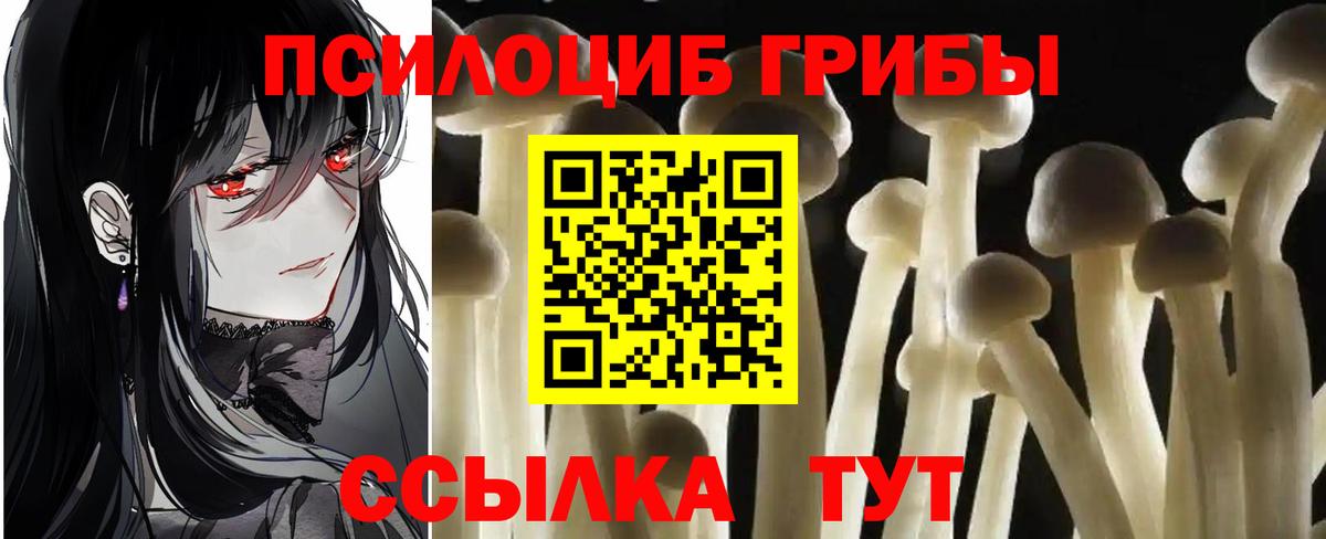 Тейково  Галлюциногенные грибы мухоморы  Вход с VPN  Галлюциногенные грибы прущие грибы 